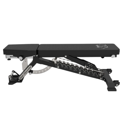 ADJUSTABLE BENCH (ZER0 GAP) AND CHROME DUMBBELLS WITH STAND KIT