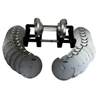 RAM 41.5 KGS CHROME ADJUSTABLE DUMBBELLS AND BLACK STAND KIT