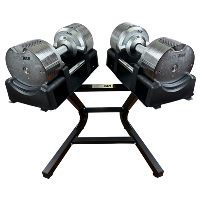 RAM 41.5 KGS CHROME ADJUSTABLE DUMBBELLS AND BLACK STAND KIT