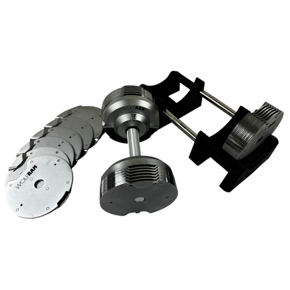 RAM 41.5 KGS CHROME ADJUSTABLE DUMBBELLS AND BLACK STAND KIT