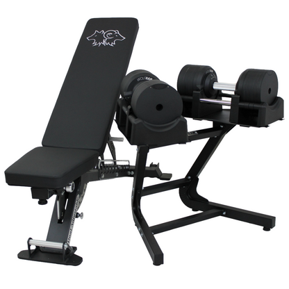 ADJUSTABLE BENCH (ZERO GAP) AND BLACK DUMBBELLS WITH STAND KIT