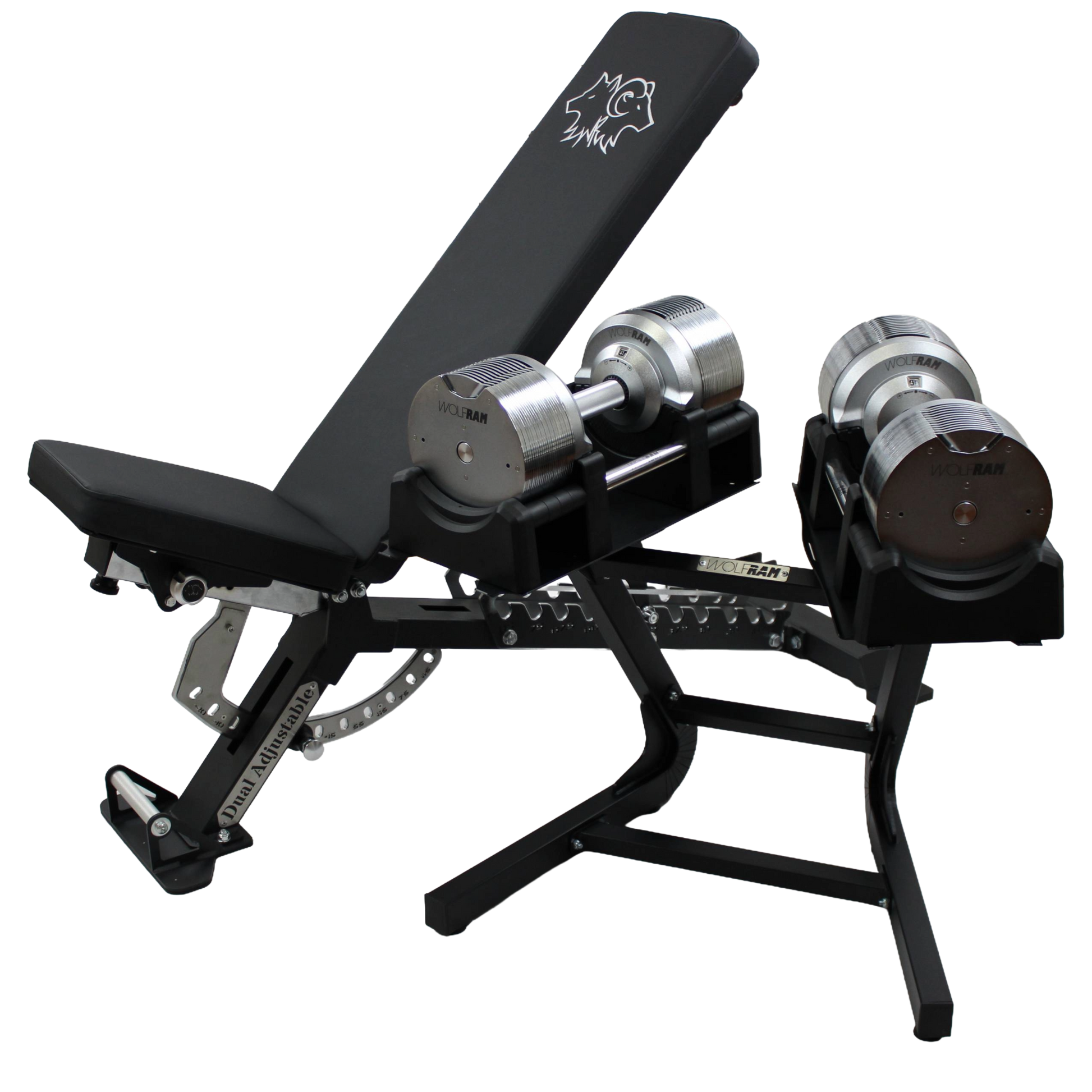 Wolfram Fitness zero gap adjustable bench paired with RAM41C 41.5kg chrome dumbbells, showing the precision-adjustable seat and backrest design for seamless full-body training
