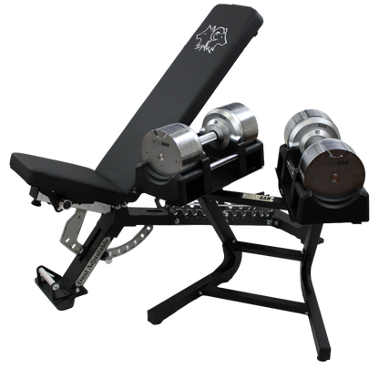 Wolfram Fitness zero gap adjustable bench paired with RAM41C 41.5kg chrome dumbbells, showing the precision-adjustable seat and backrest design for seamless full-body training