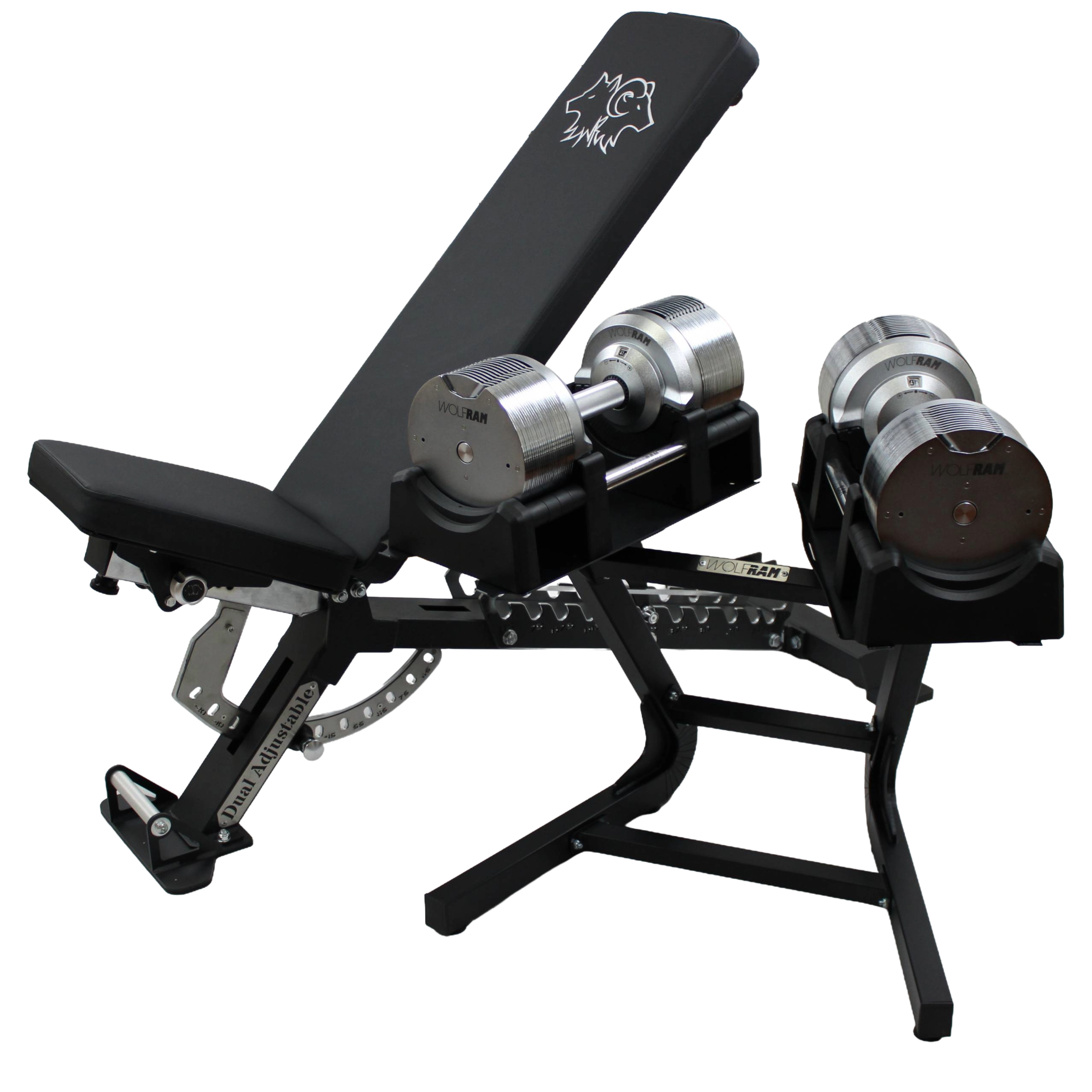 Wolfram Fitness zero gap adjustable bench paired with RAM41C 41.5kg chrome dumbbells, showing the precision-adjustable seat and backrest design for seamless full-body training